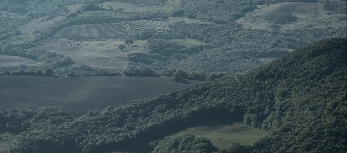 Pygmalion Capital Advisers LLP